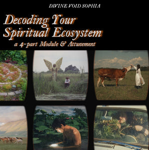 Decoding Your Spiritual Ecosystem